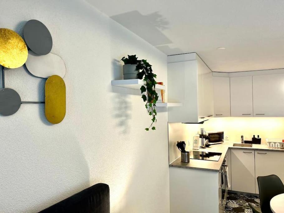 Casa Ambizione Apartman Dietikon Kültér fotó
