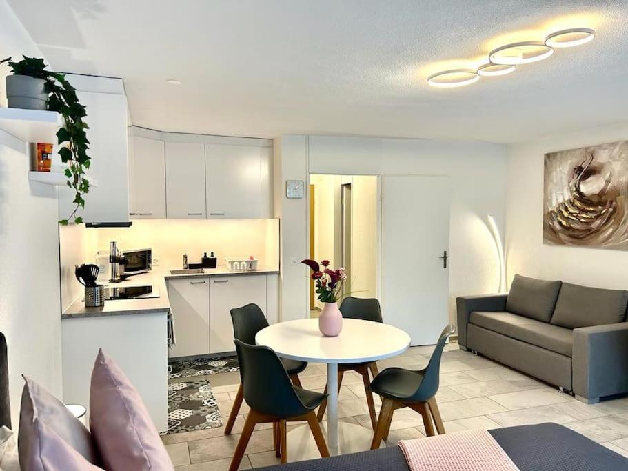 Casa Ambizione Apartman Dietikon Kültér fotó