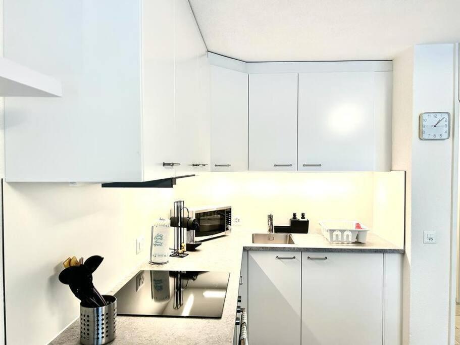 Casa Ambizione Apartman Dietikon Kültér fotó