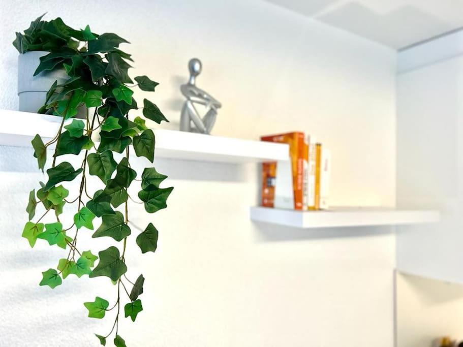 Casa Ambizione Apartman Dietikon Kültér fotó