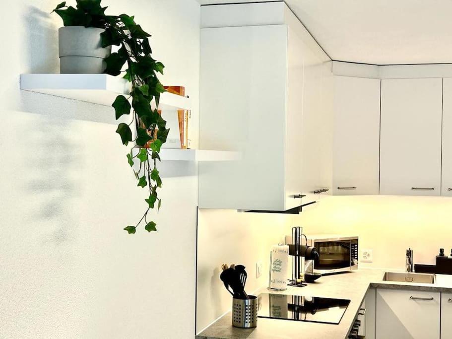 Casa Ambizione Apartman Dietikon Kültér fotó