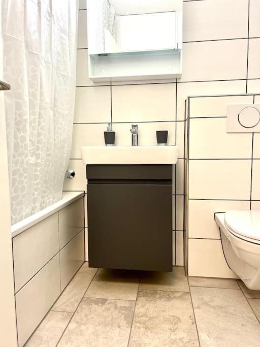 Casa Ambizione Apartman Dietikon Kültér fotó