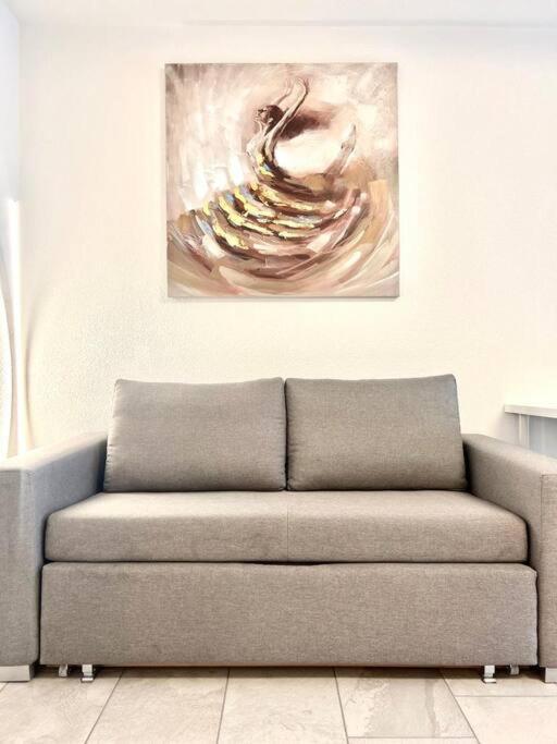 Casa Ambizione Apartman Dietikon Kültér fotó